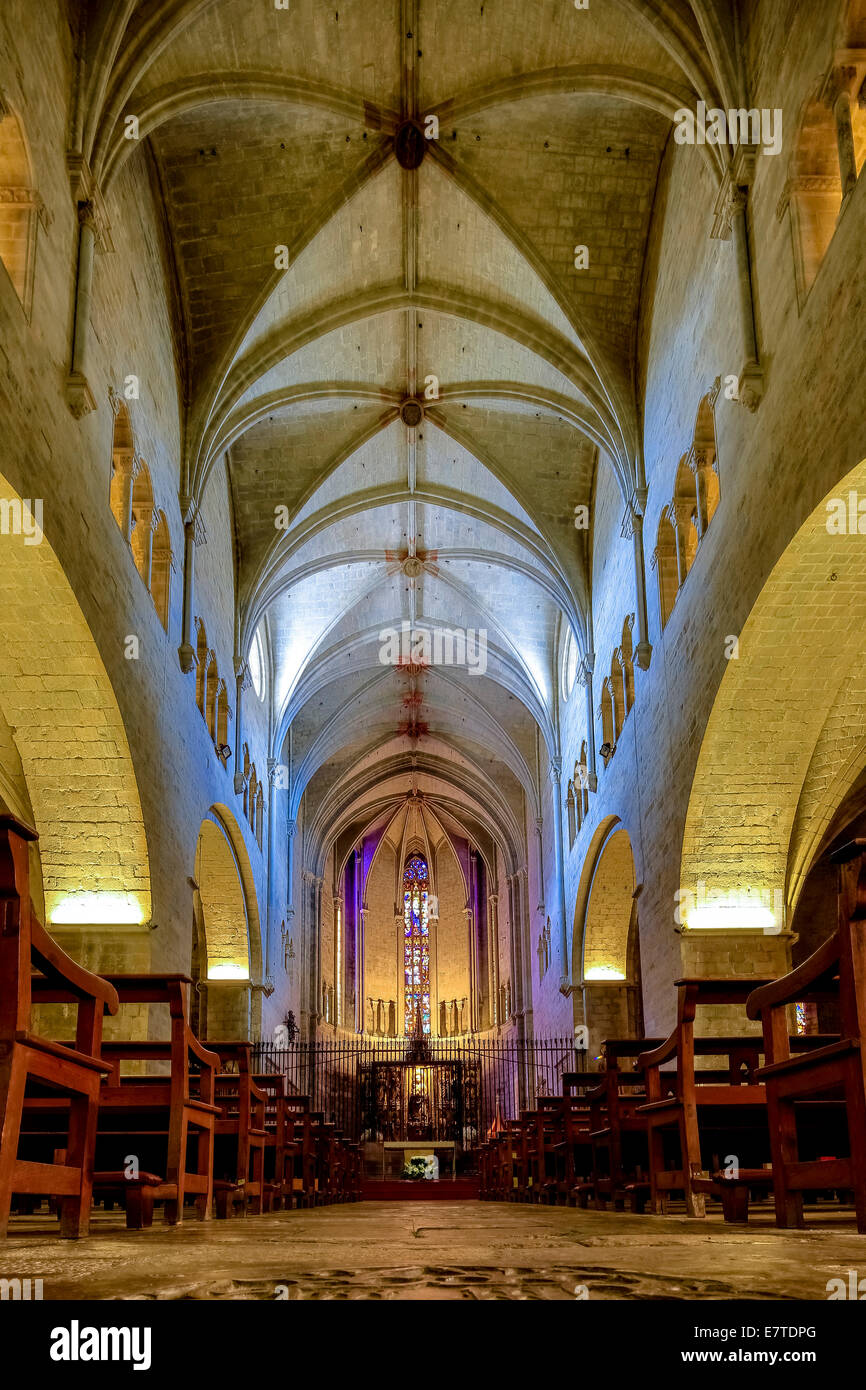 Hauptschiff der Kirche von Sant Feliu, Sant Felix, Girona, Katalonien, Spanien Stockfoto