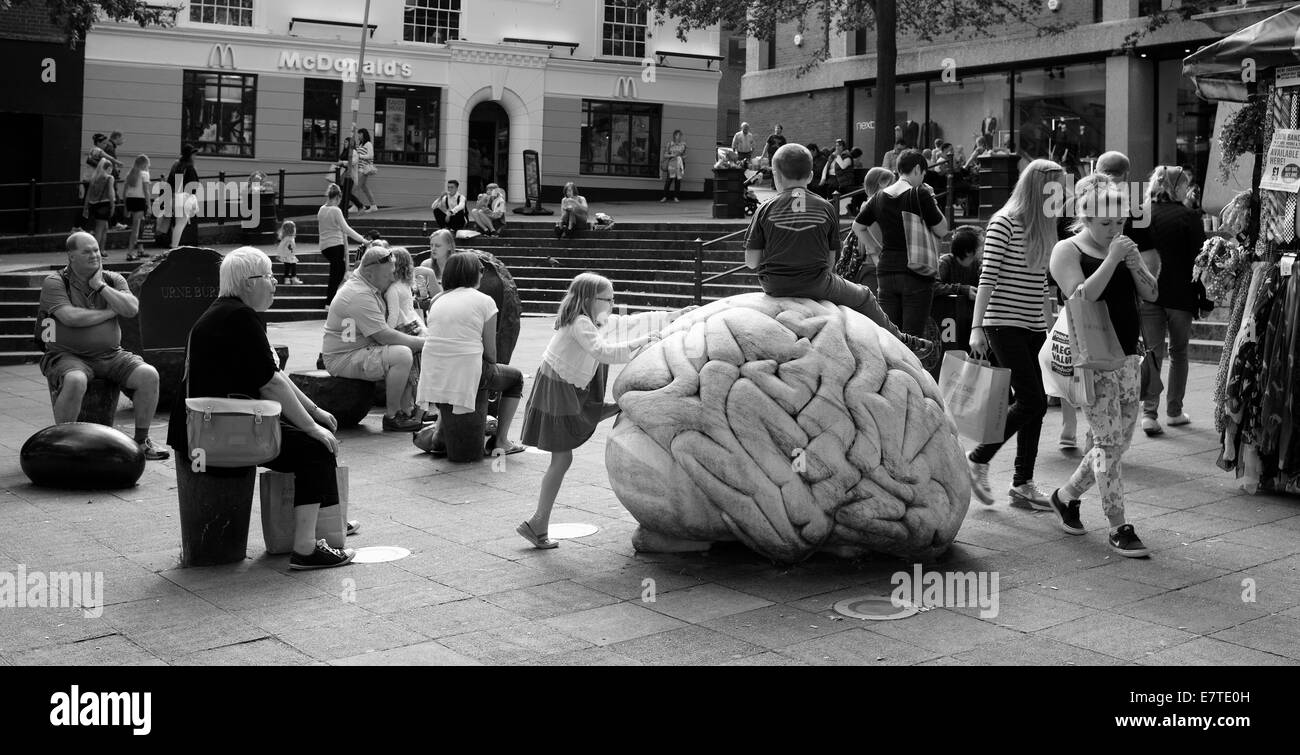 Eine Marmor Gehirn Skulptur von Anne und Patrick Poirier am Haymarket in Norwich, Norfolk, England, UK. Stockfoto