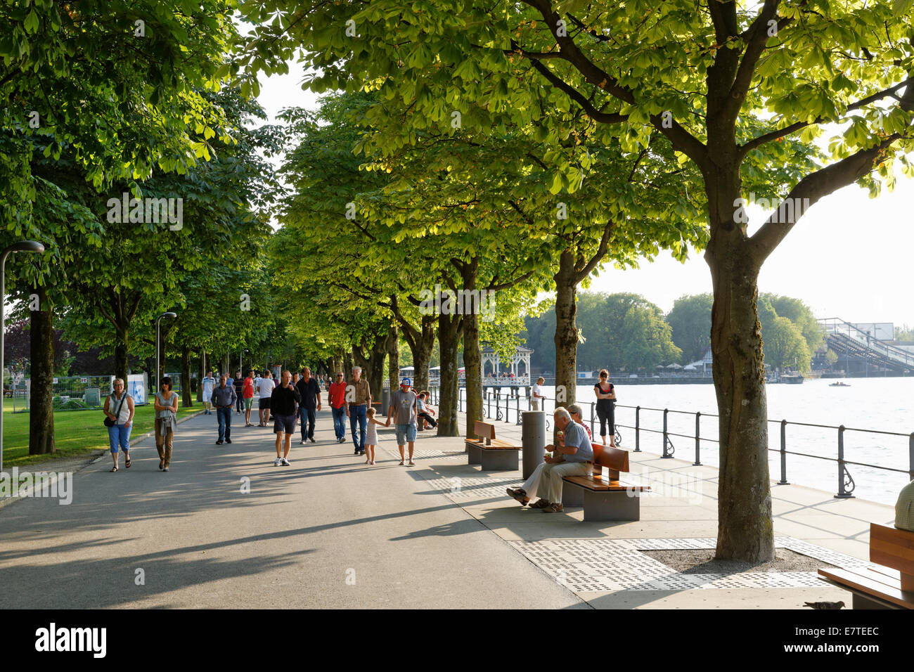 Uferpromenade am Bodensee, Bregenz, Vorarlberg, Österreich Stockfoto