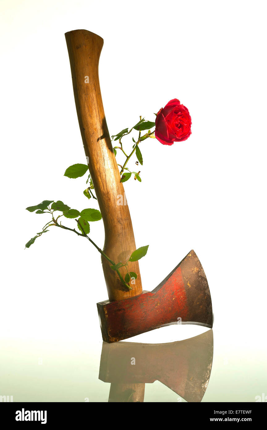 Aus der Griff von einer Axt Sprossen eine rose, symbolisches Bild für Gewaltfreiheit und Frieden Stockfoto