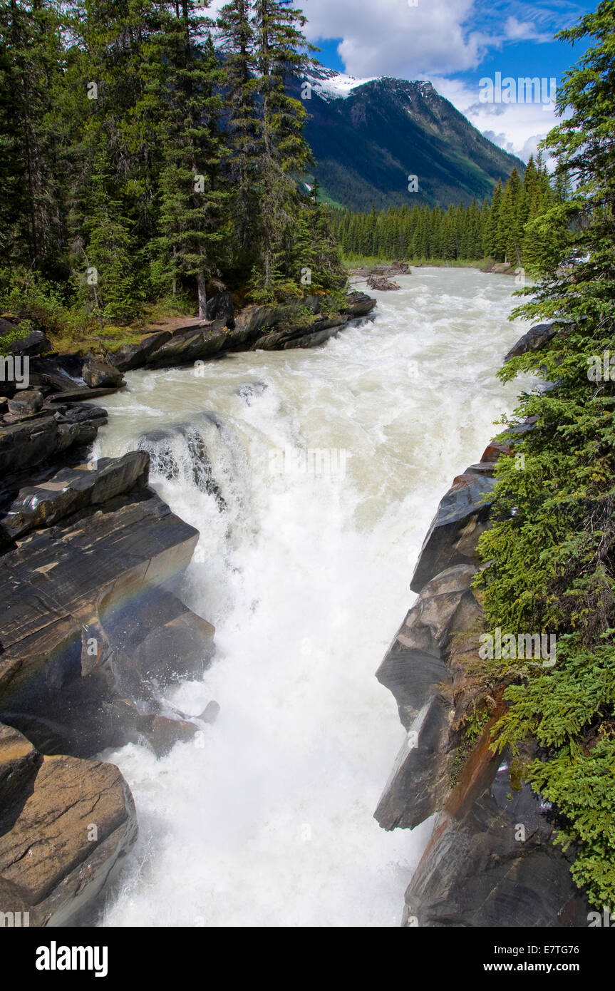 NUMA fällt, Kootenay National Park, Britisch-Kolumbien, Kanada Stockfoto NUMA fällt, Kootenay National Park, Britisch-Kolumbien, Kanada Stockfoto