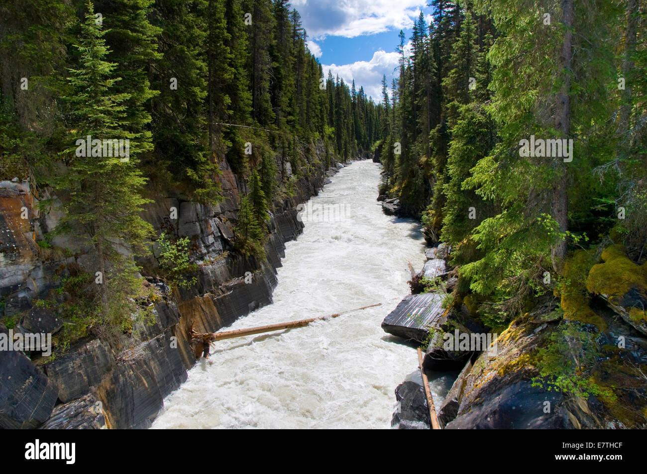 NUMA fällt, Kootenay National Park, Britisch-Kolumbien, Kanada Stockfoto NUMA fällt, Kootenay National Park, Britisch-Kolumbien, Kanada Stockfoto
