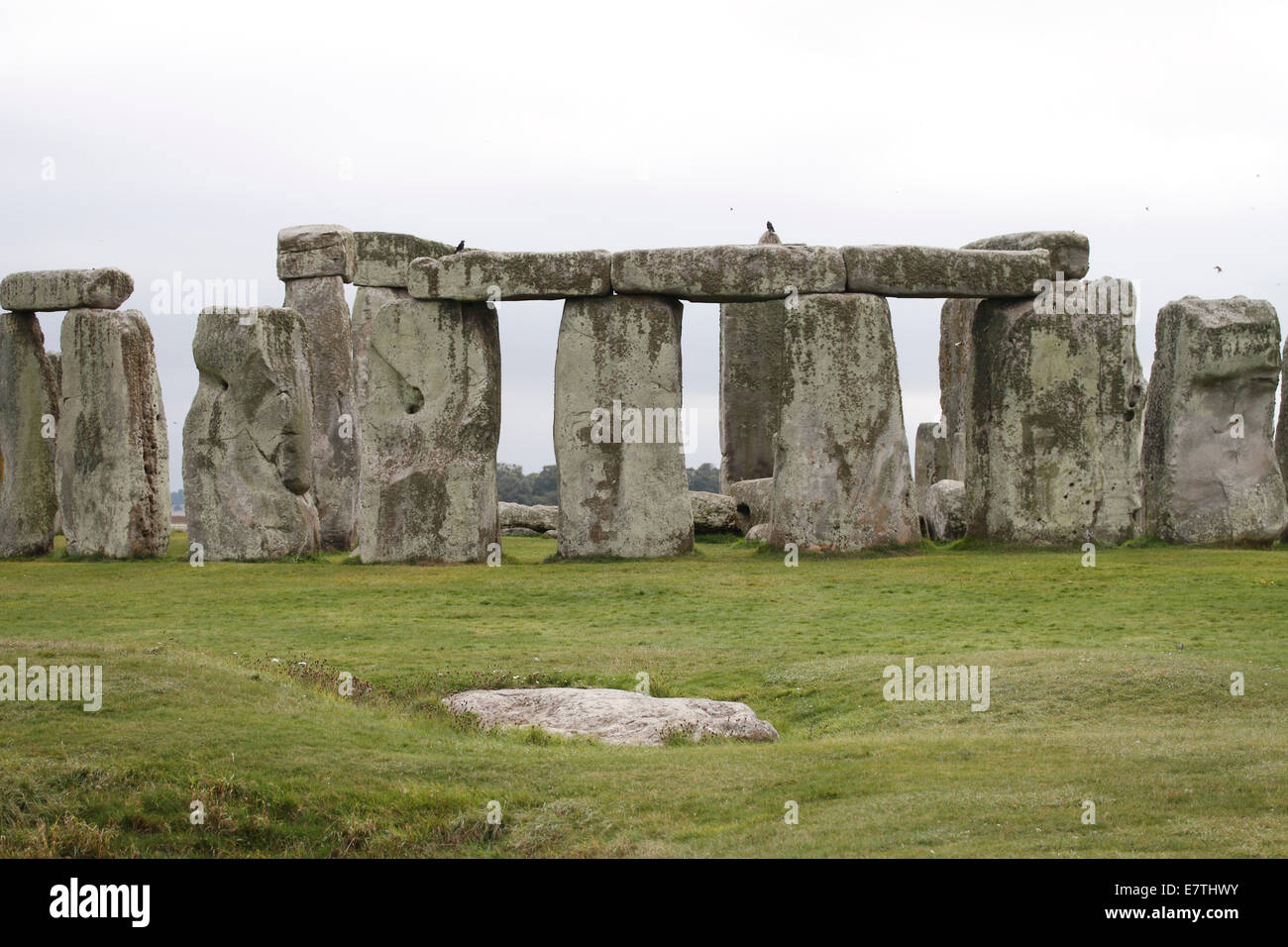 Stonehenge - Sturz am Innenkreis Menhire Stockfoto