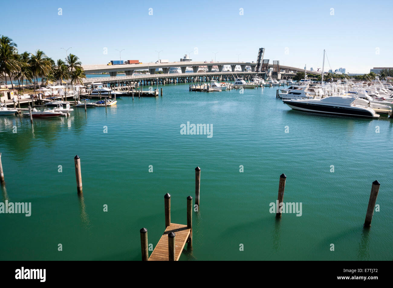 Biscayne Bay Marina in Miami, Florida, USA Stockfoto