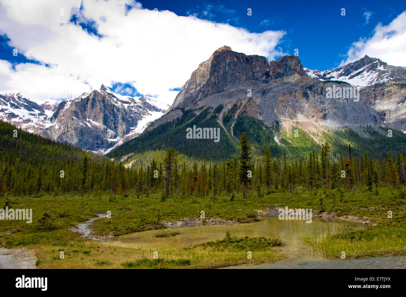 Emerald Lake, Yoho Nationalpark, Britisch-Kolumbien, Kanada Stockfoto