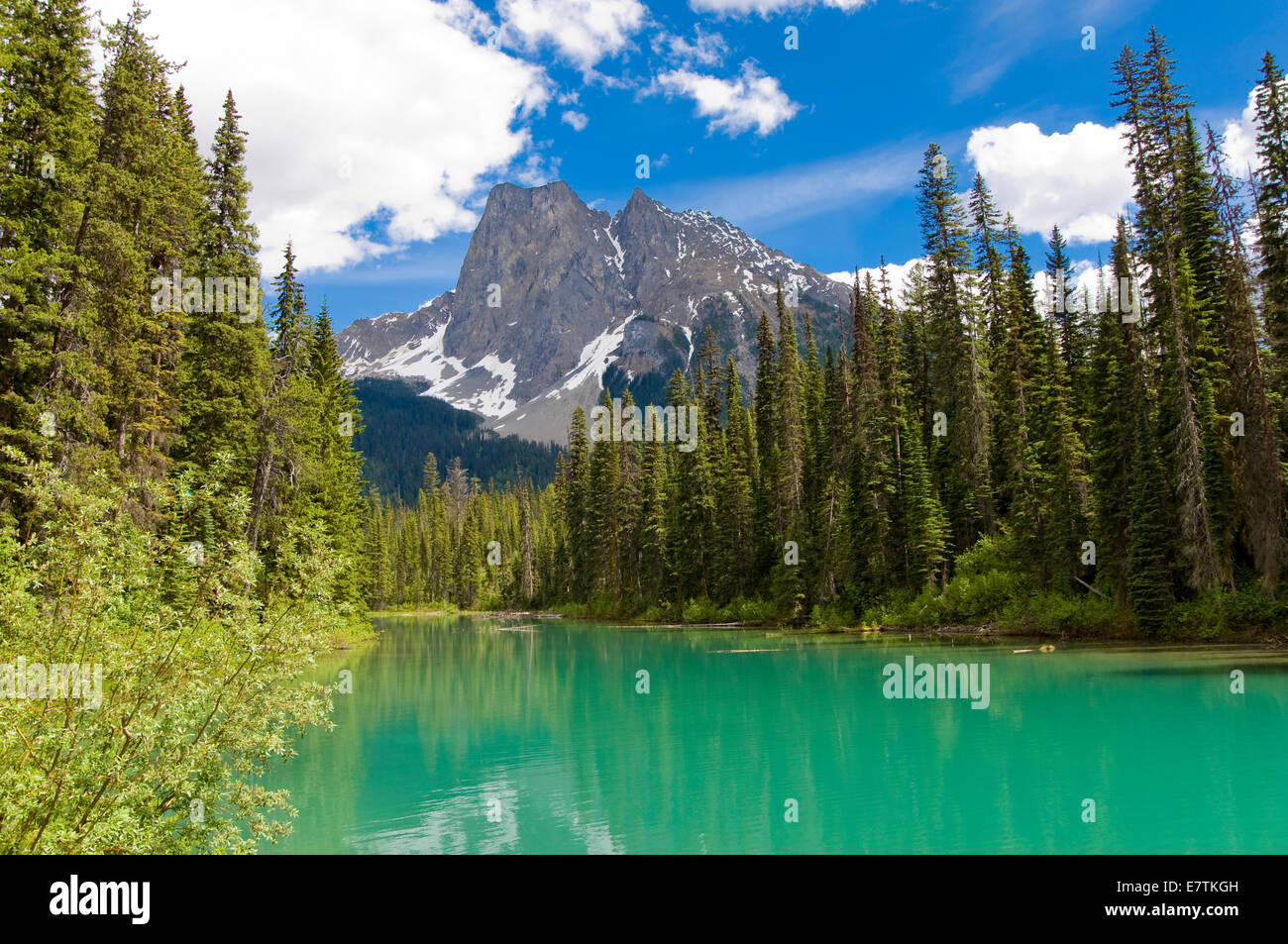 Emerald Lake, Yoho Nationalpark, Britisch-Kolumbien, Kanada Stockfoto