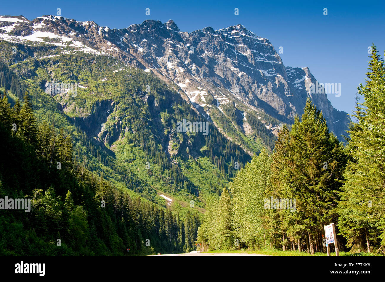 Trans Canadian Highway, Glacier National Park, Britisch-Kolumbien, Kanada Stockfoto