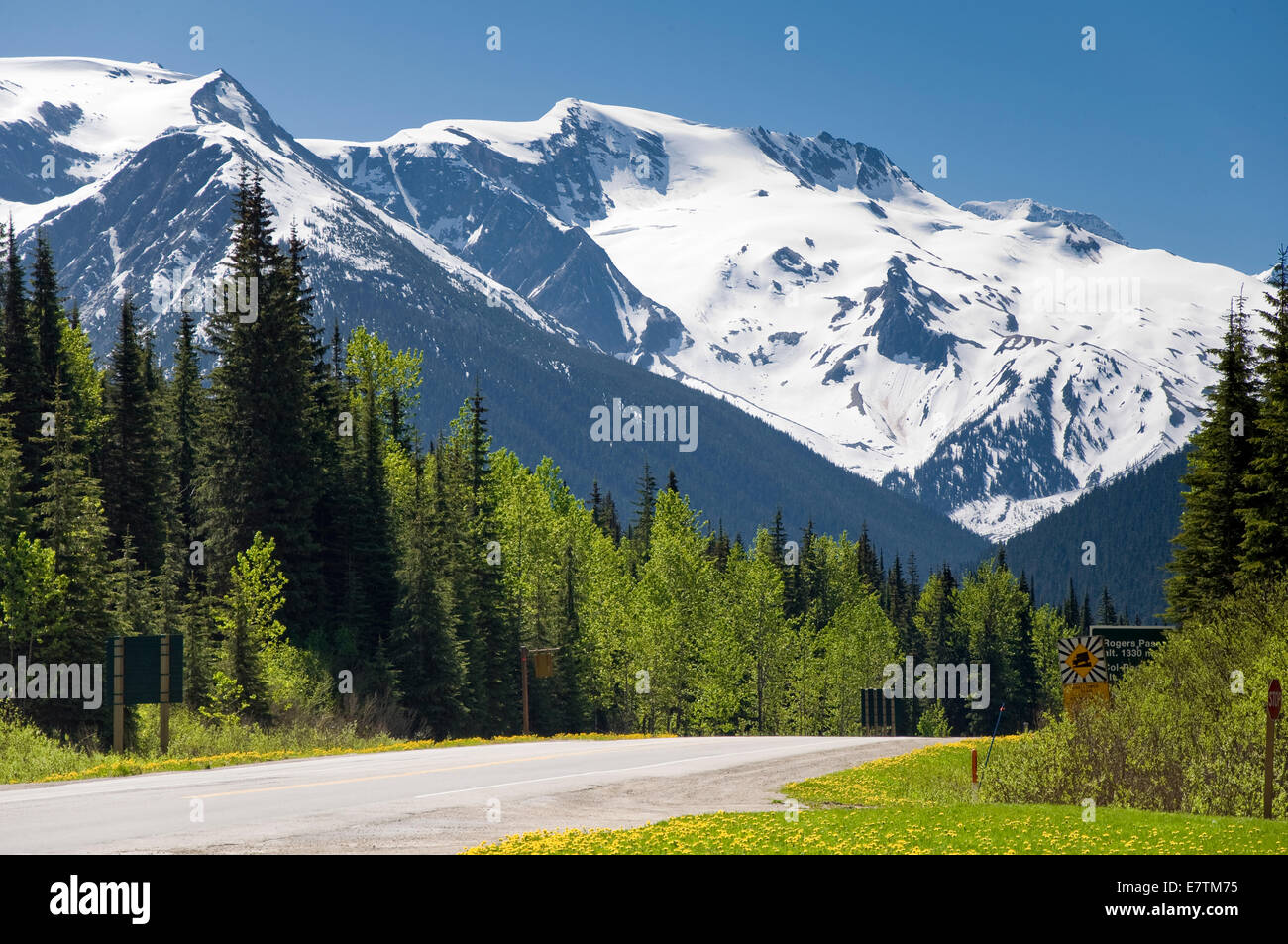 Trans Canadian Highway, Glacier National Park, Britisch-Kolumbien, Kanada Stockfoto