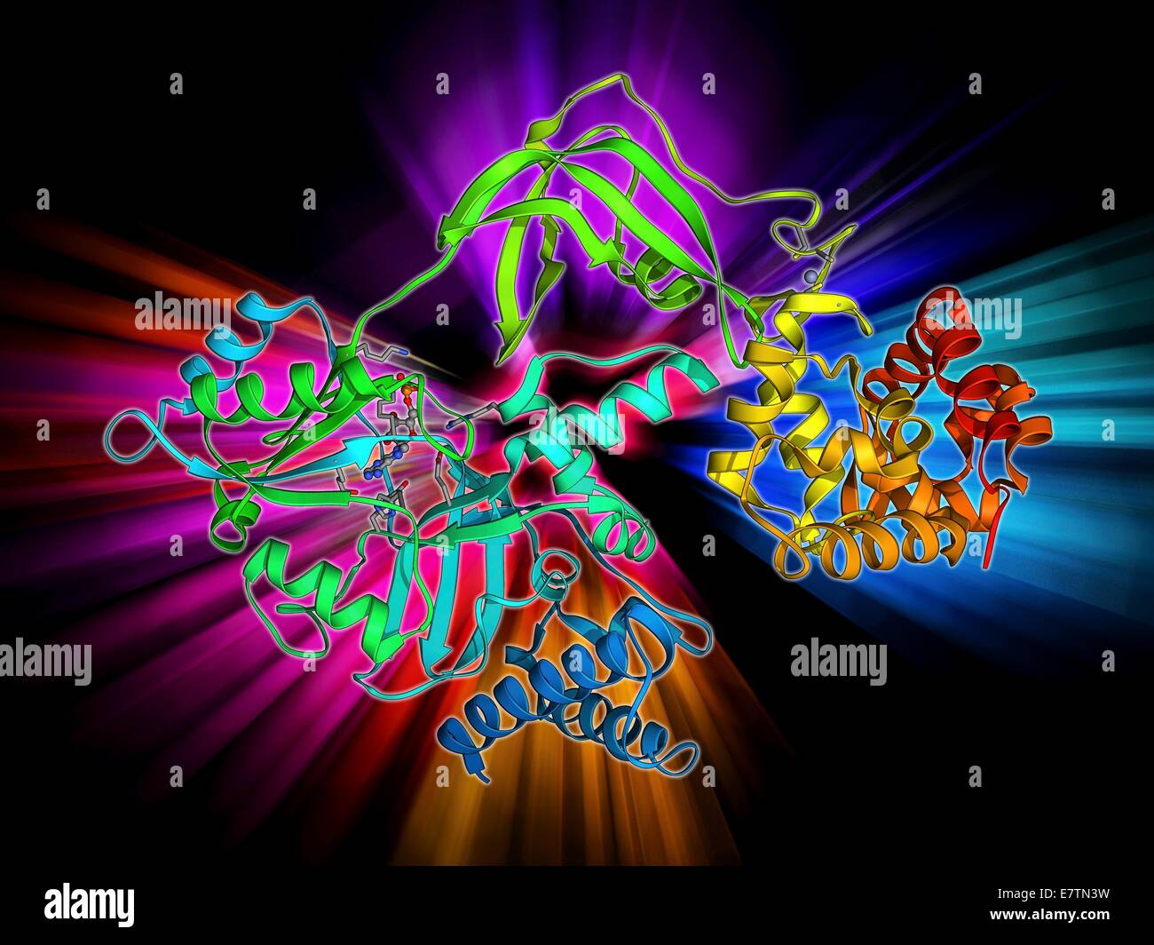 NAD-abhängige DNA Ligase. Molekulares Modell des NAD (+)-abhängigen DNA Ligase. DNA-Ligase ist ein Enzym, die beiden Stränge der DNA (Desoxyribonukleinsäure) miteinander verbindet. Stockfoto