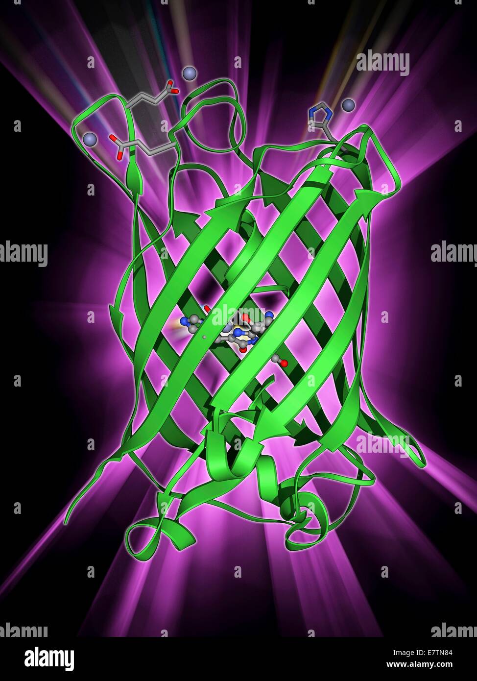 Protein Tertiärstruktur Stockfotos und bilder Kaufen Alamy