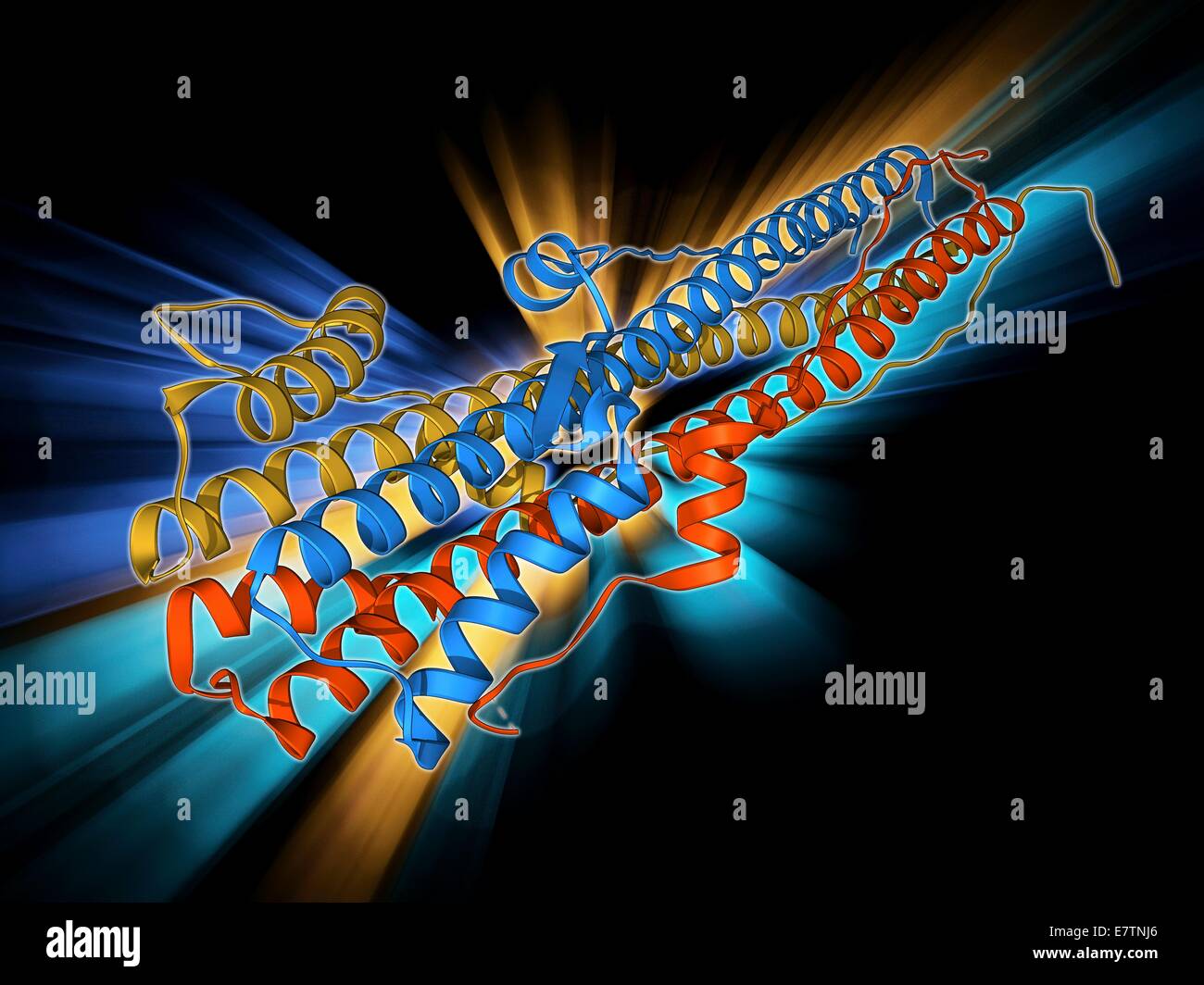 HämagglutininProteinUntereinheit. Molekülmodell der Ektodomäne des