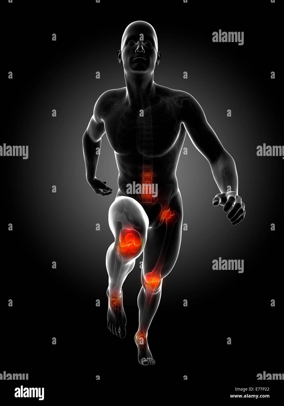 Menschliche Anatomie eines Läufers Gelenke, Computer-Grafik. Stockfoto