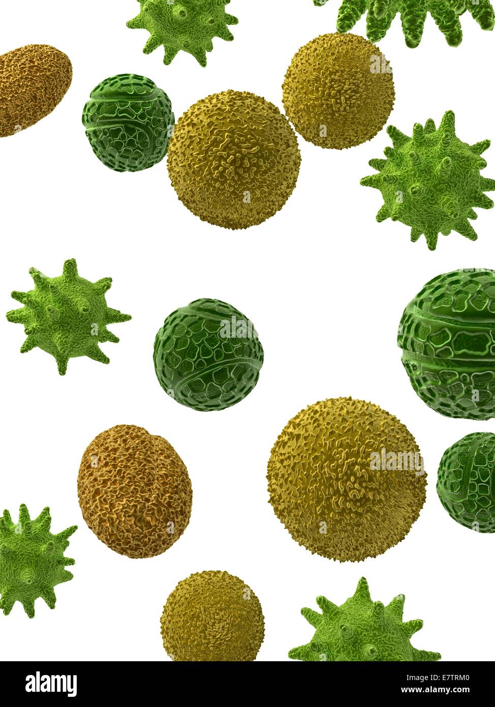 Pollen, Computer-Grafik. Stockfoto