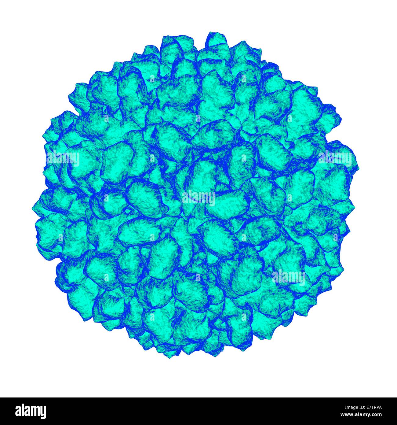 Authentische Vorsehung Virus, Computer-Grafik. Stockfoto
