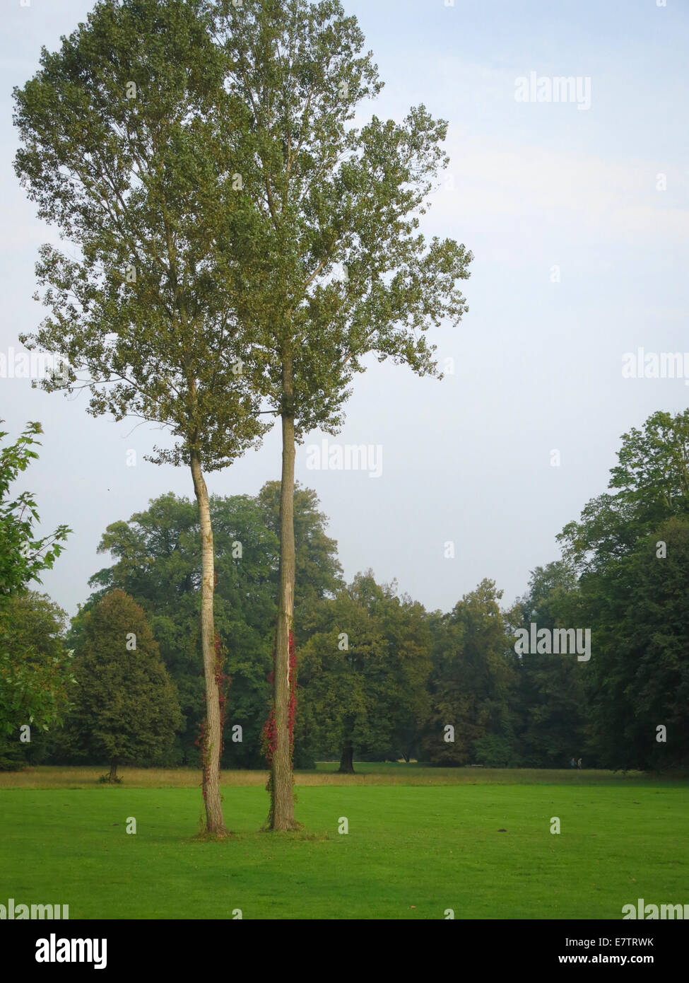 Fürst-Pückler-Park Bad Muskau Stockfoto