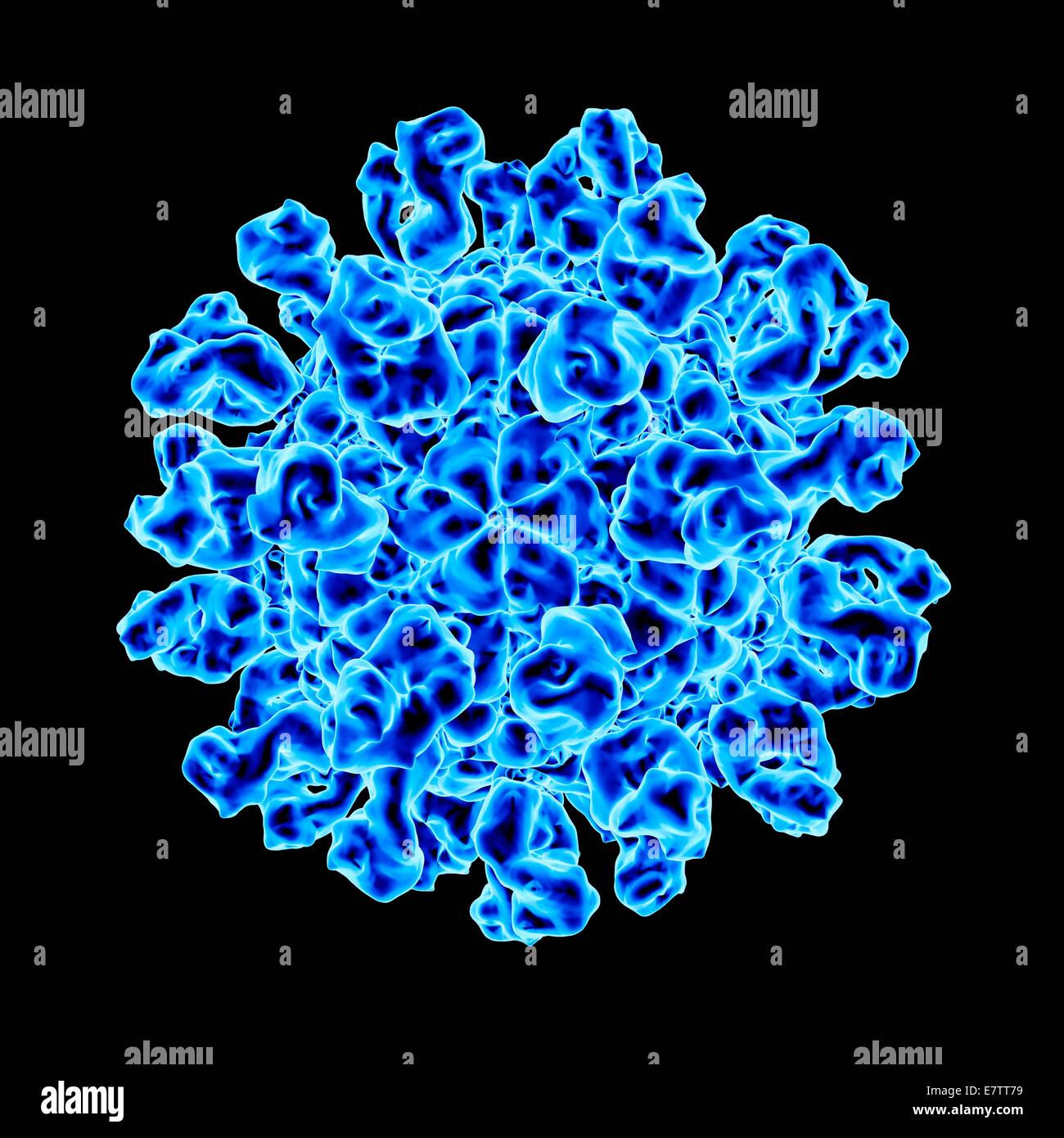 Maul- und Klauenseuche Krankheit Virus, Computer-Grafik Stockfotografie ...