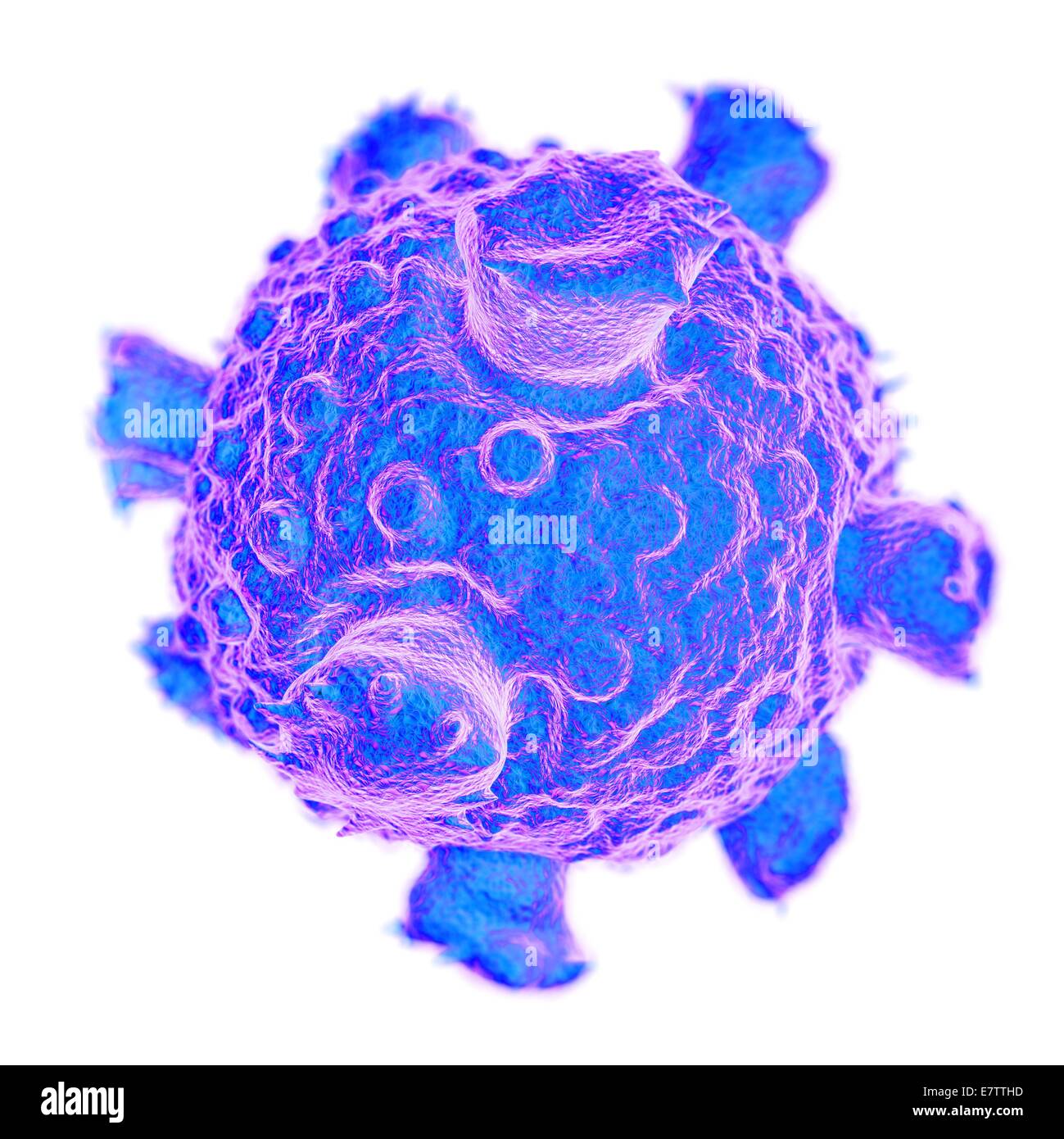 Reovirus, Computer-Grafik. Stockfoto