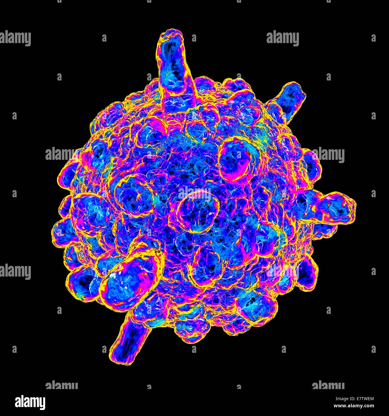 Infantile Gastroenteritis Virus, Computer-Grafik. Stockfoto