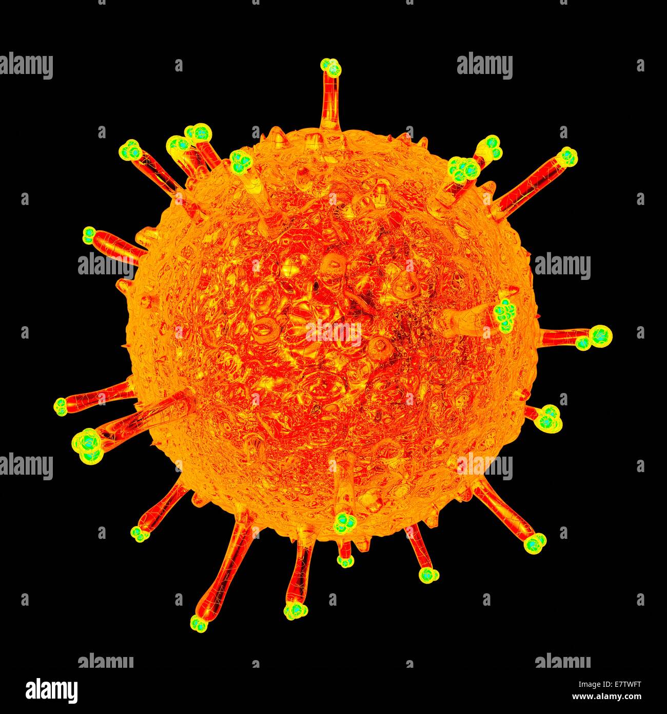Schweine-Influenza-Virus, Computer-Grafik. Stockfoto