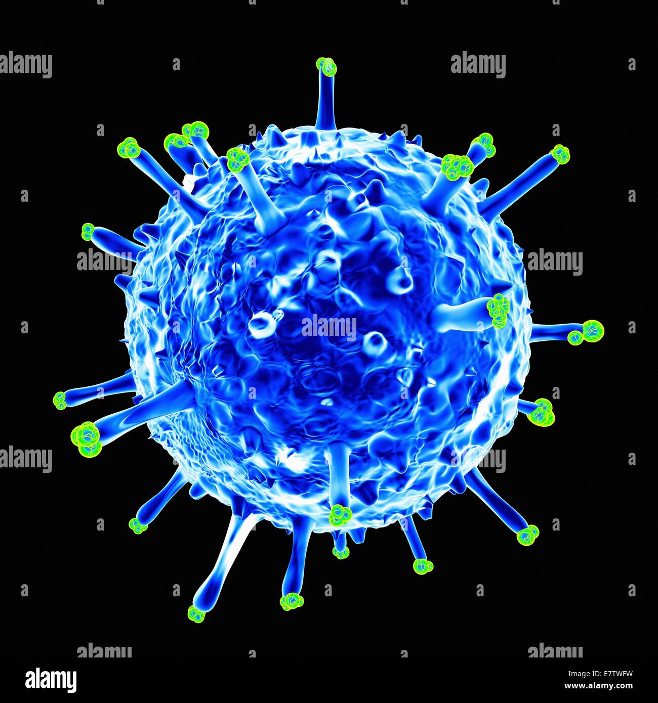 Schweine-Influenza-Virus, Computer-Grafik. Stockfoto