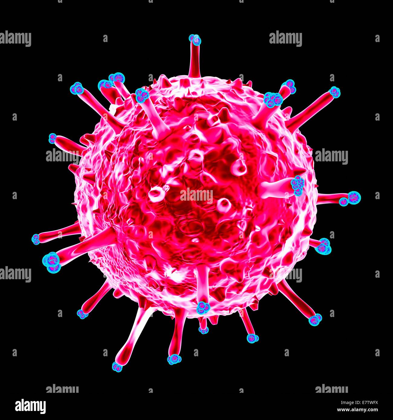 Schweine-Influenza-Virus, Computer-Grafik. Stockfoto