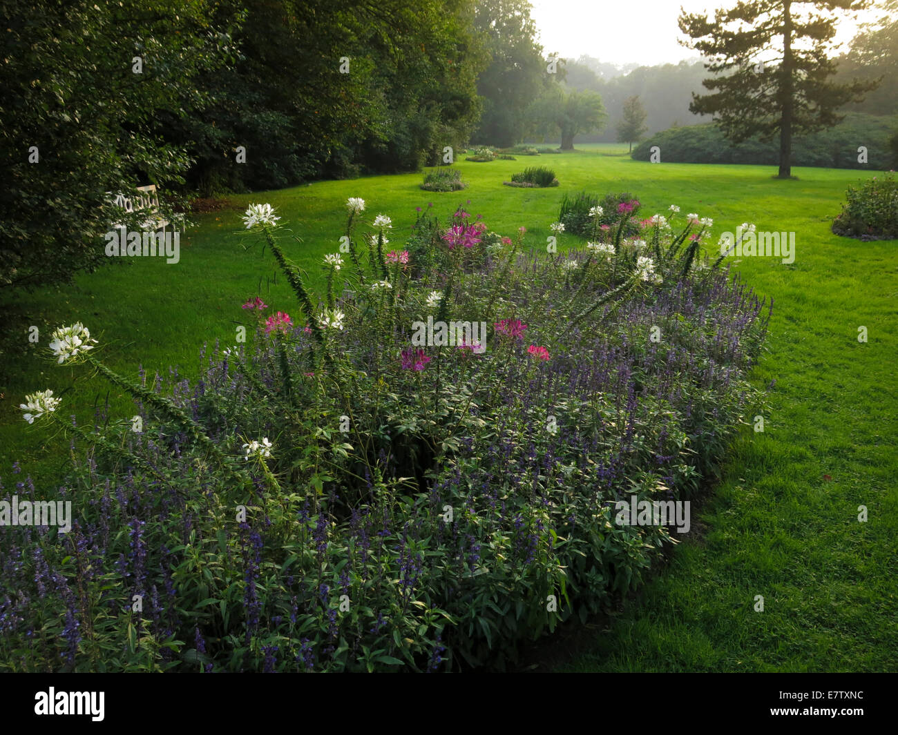 Fürst-Pückler-Park Bad Muskau Stockfoto