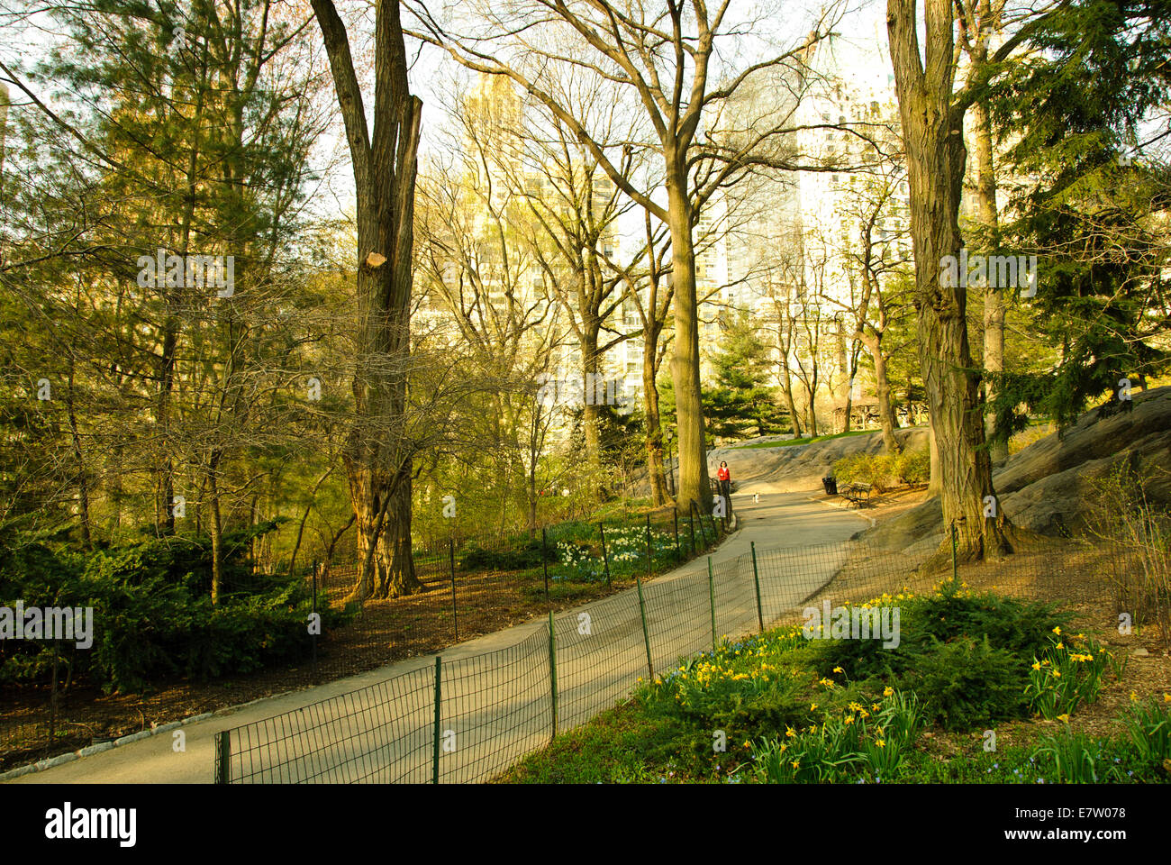 Blick auf New York City, Symbole, das Leben auf der Straße, in Parks, Gebäude, Bereiche, Architektur, Times Square, Broadway, New York, Big Apple, USA Stockfoto