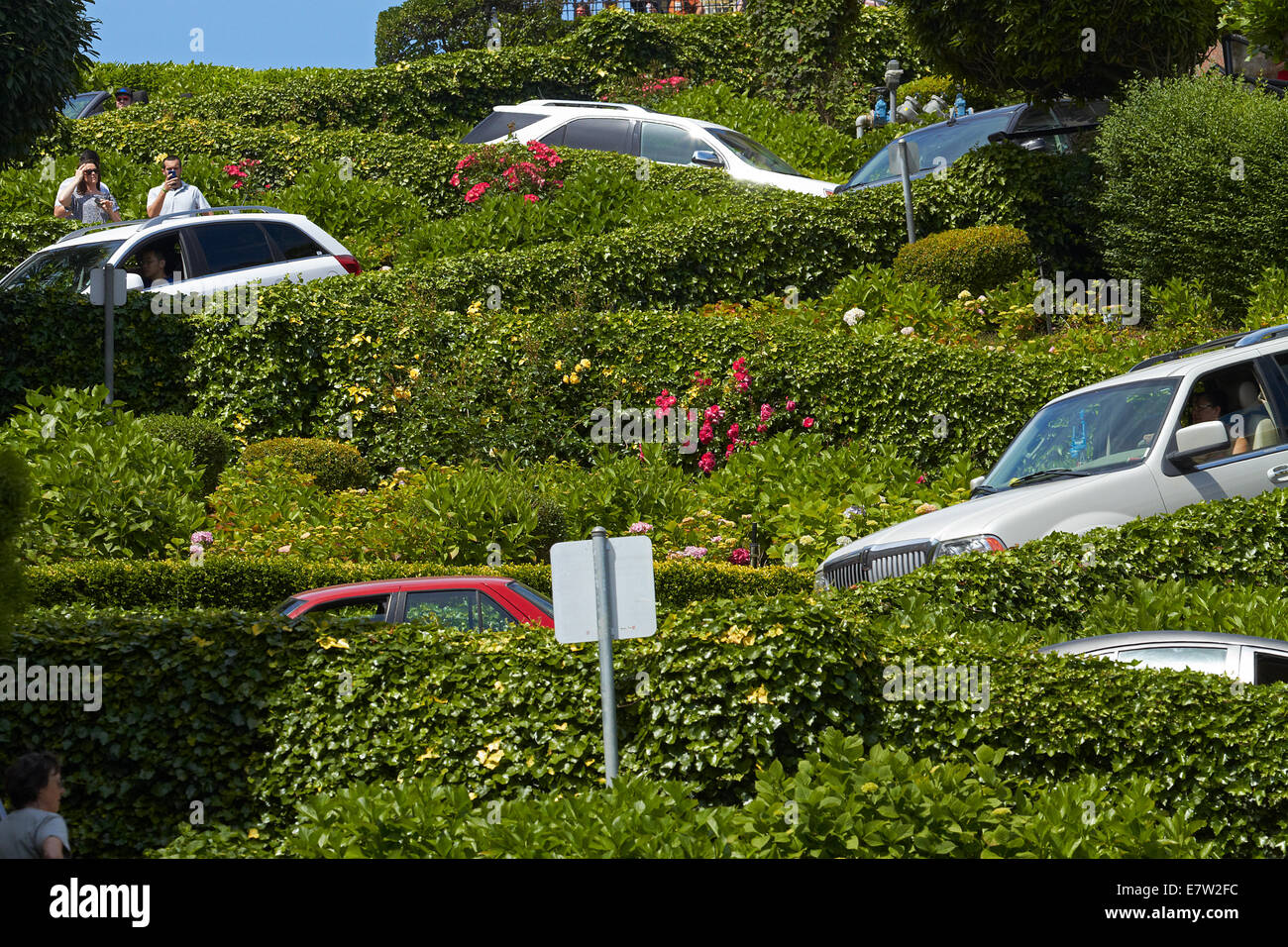 Fahrzeuge fahren auf Lombard Street (kurvenreichsten Straßen der Welt), Russian Hill Viertel, San Francisco, Kalifornien, USA Stockfoto