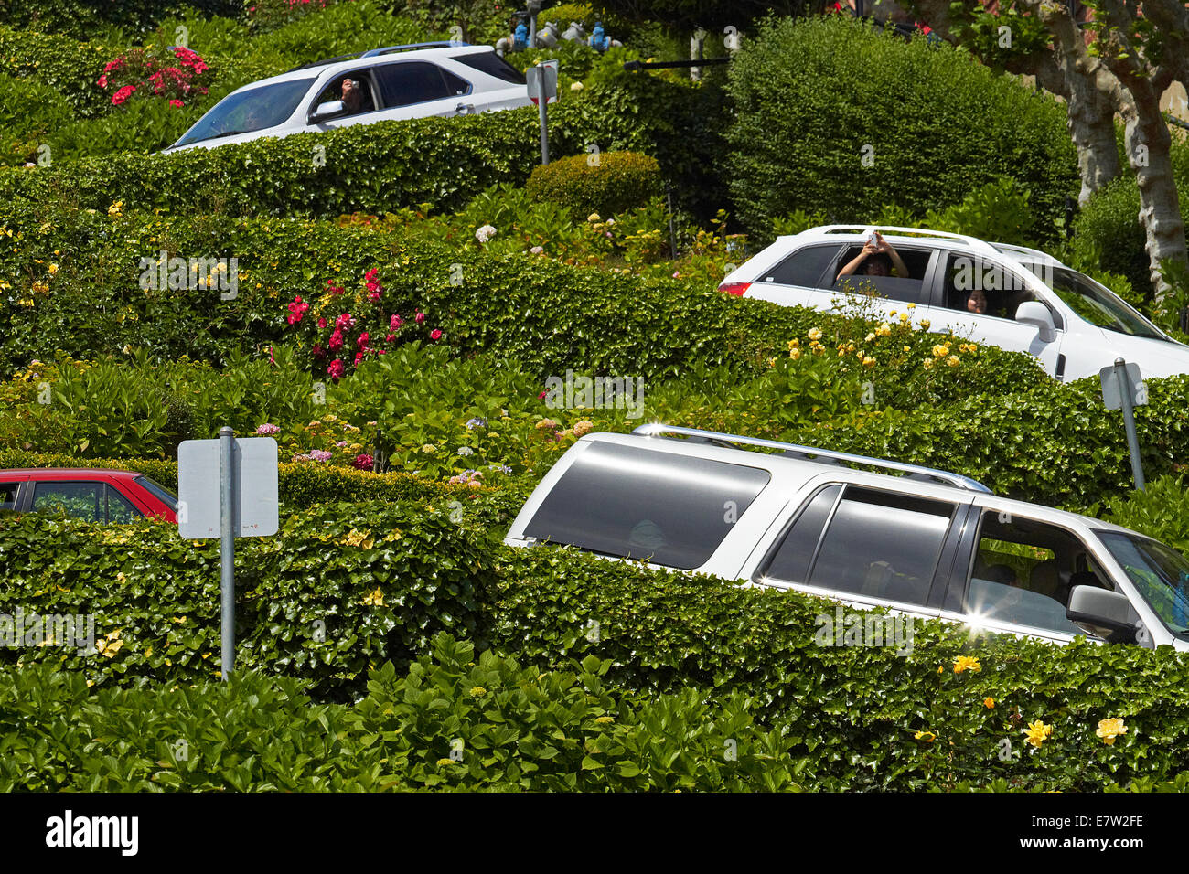 Fahrzeuge fahren auf Lombard Street (kurvenreichsten Straßen der Welt), Russian Hill Viertel, San Francisco, Kalifornien, USA Stockfoto
