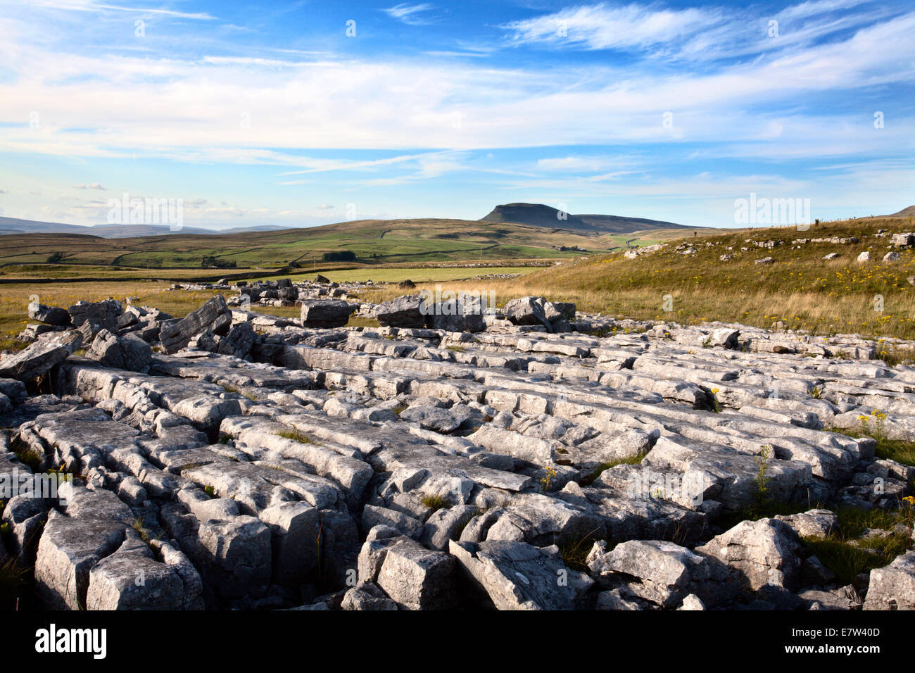 Pen-Y-Gent aus Winskill Steinen in der Nähe von Settle in der Nähe niederzulassen Ribblesdale Yorkshire Dales England Stockfoto