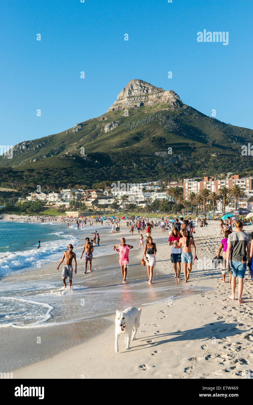 Junge Menschen mit einem Hund zu Fuß entlang dem Strand von Camps Bay, Kapstadt, Südafrika Stockfoto