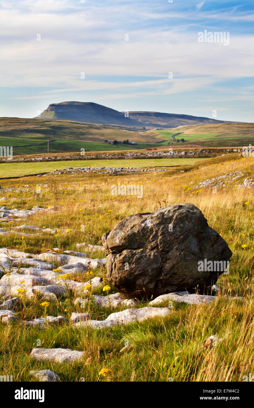 Pen-Y-Gent aus Winskill Steinen in der Nähe niederzulassen Ribblesdale Yorkshire Dales England Stockfoto