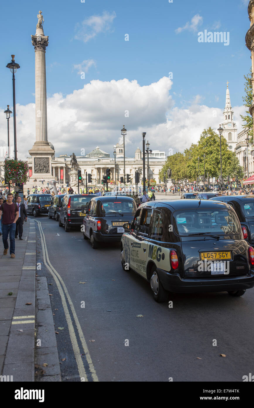 Zentral-London, UK. 24. September 2014. Schwarzes Taxi Taxifahrer protestieren TfL Taxi Politik heute mit einer Fahrt im Zentrum von London zu einem Schnecken Tempo ca. 14:00 Bereiche betroffen sind, Whitehall, Parliament Square und Trafalgar Square. Bildnachweis: Malcolm Park Leitartikel/Alamy Live-Nachrichten. Stockfoto