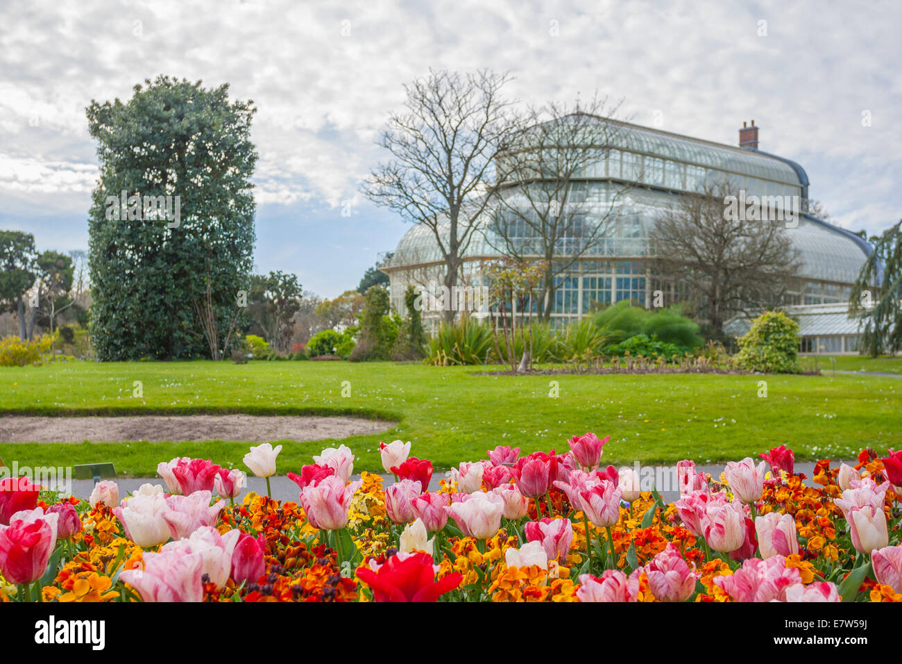 Palmen irland Fotos und Bildmaterial in hoher Auflösung Alamy