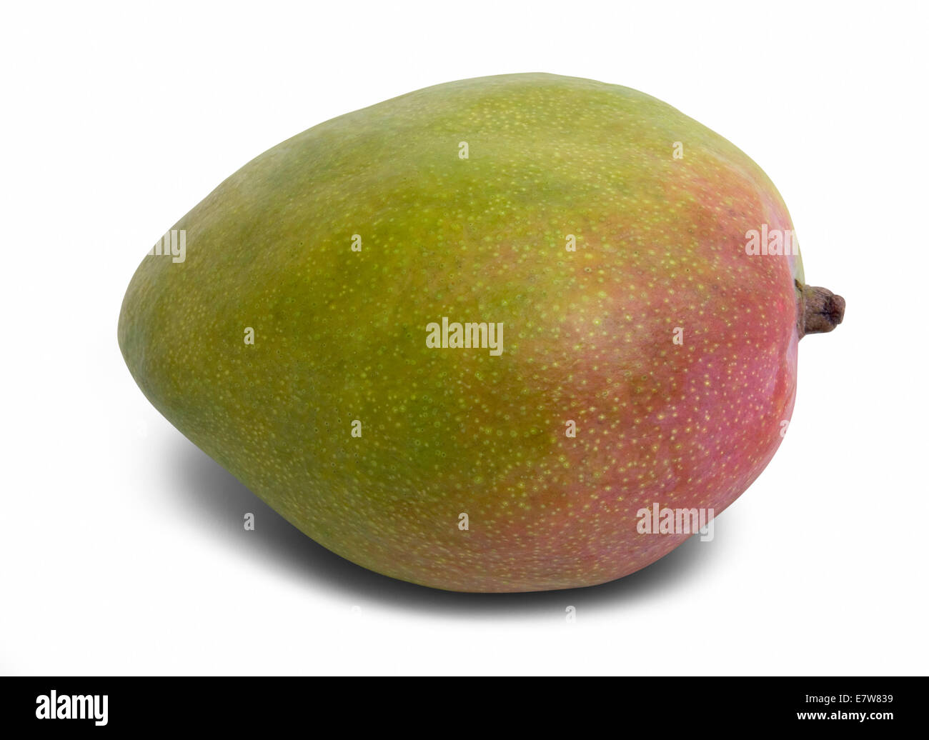 Mango-Frucht in weißem Rücken mit Schatten und Clipping-Pfad Stockfoto