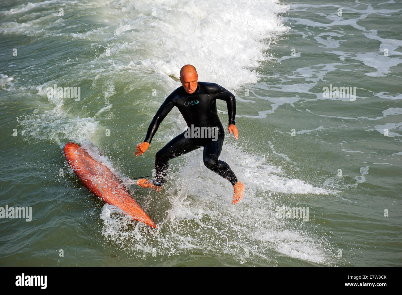Mittleren Alters Surfer im Anzug auf dem Meer eine Welle zu reiten, aber vom Surfbrett im Wasser fallen Stockfoto