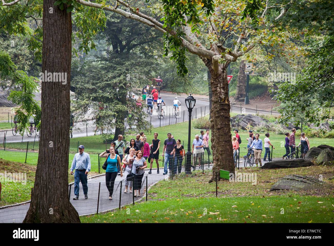 New York, New York - Menschen wandern und Radfahren im Central Park. Stockfoto