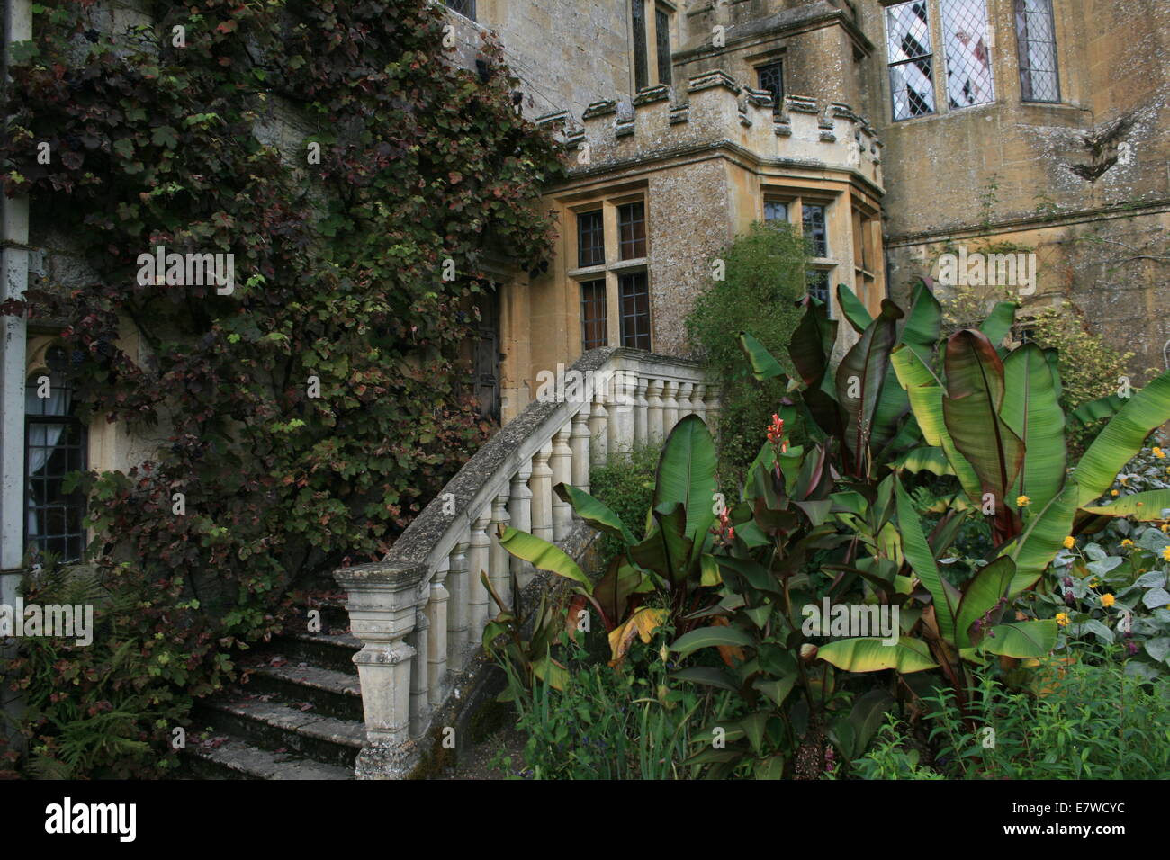 Sudeley Castle Seite Eingangstreppe mit Reben bedeckt Stockfoto