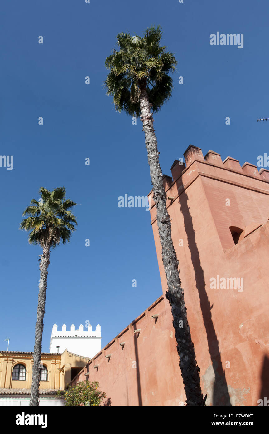 Königlicher Palast, Alcazar in Sevilla, Spanien Stockfoto