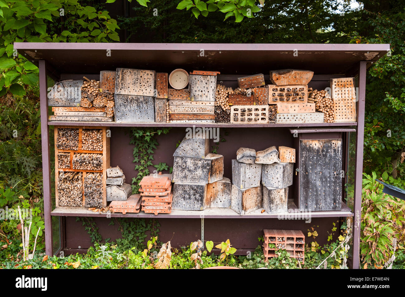 Eine große Auswahl an Schachteln Löcher für Solitäre Bienen in den Botanischen Garten in Zürich zur Verfügung gestellt Stockfoto