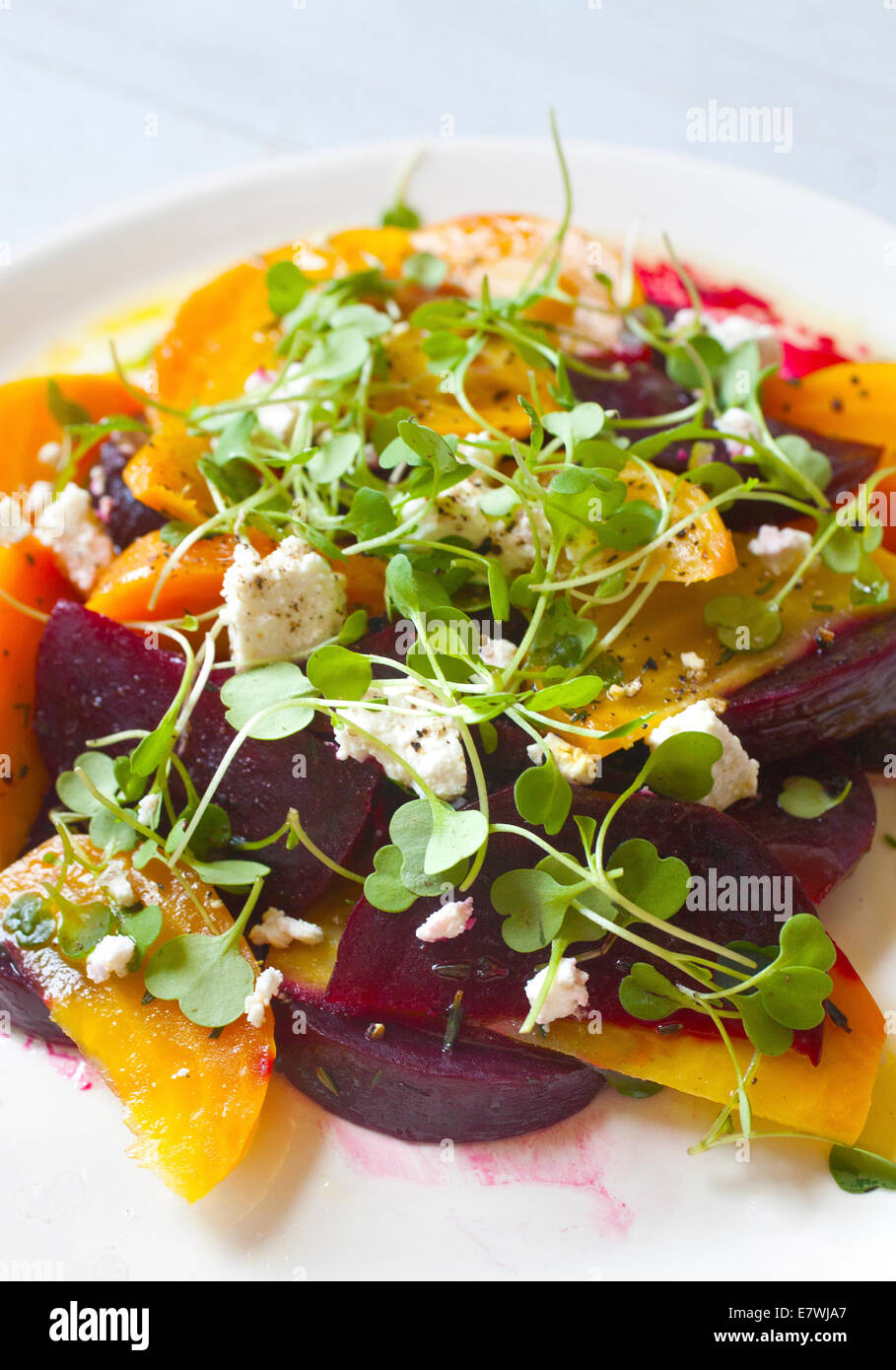 Farbenfroher Rüben-Salat auf weißem Teller und Hintergrund. Gelbe Rüben, orange Rüben, rote Rüben. Stockfoto