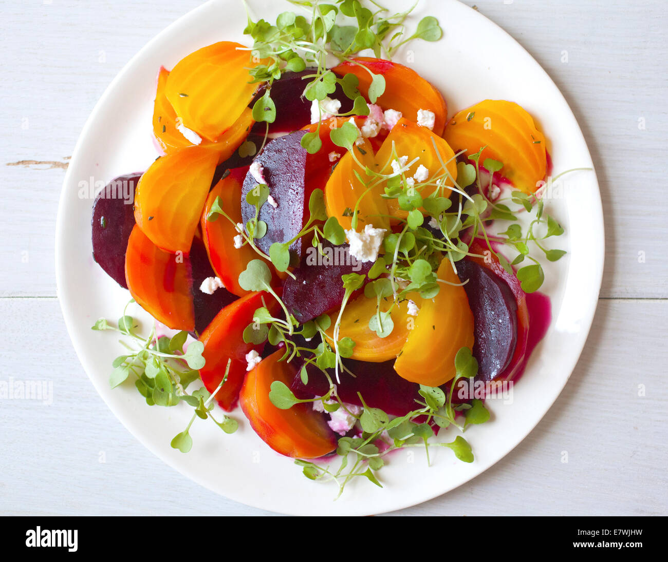 Farbenfroher Rüben-Salat auf weißem Teller und Hintergrund. Stockfoto