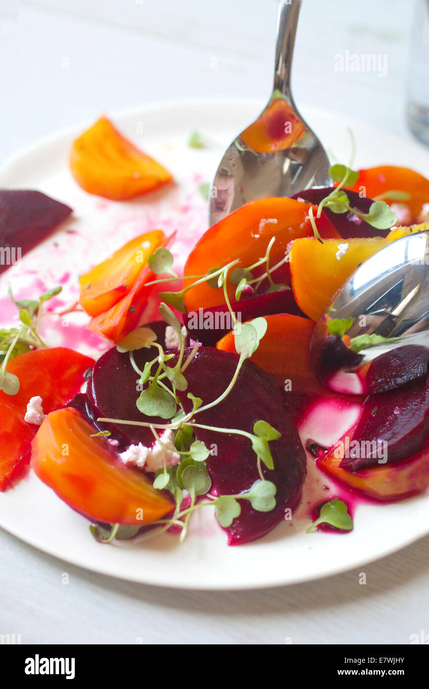 Farbenfroher Rüben-Salat serviert, auf weißem Teller und Hintergrund überzogen. Stockfoto