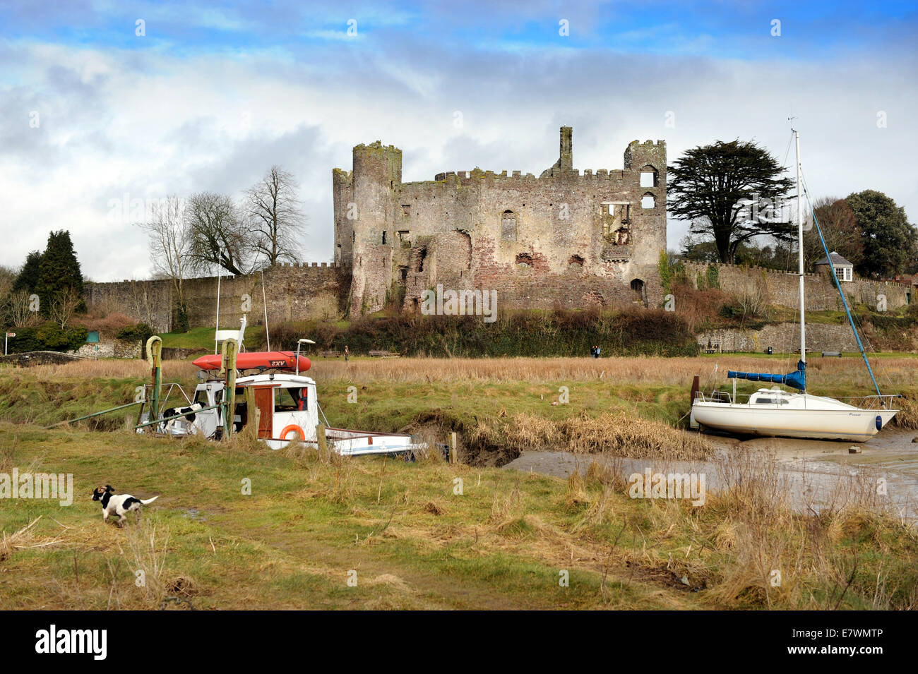 Ansicht des Laugharne Castle in Carmarthenshire, Wales UK Stockfoto