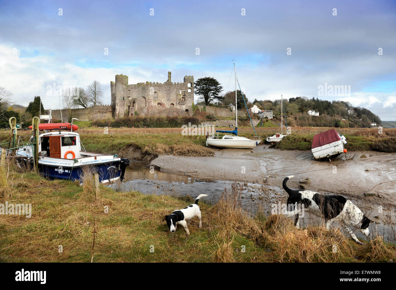 Ansicht des Laugharne Castle in Carmarthenshire, Wales UK Stockfoto