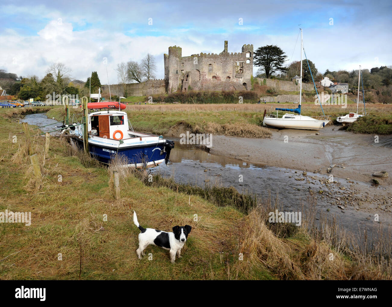 Ansicht des Laugharne Castle in Carmarthenshire, Wales UK Stockfoto