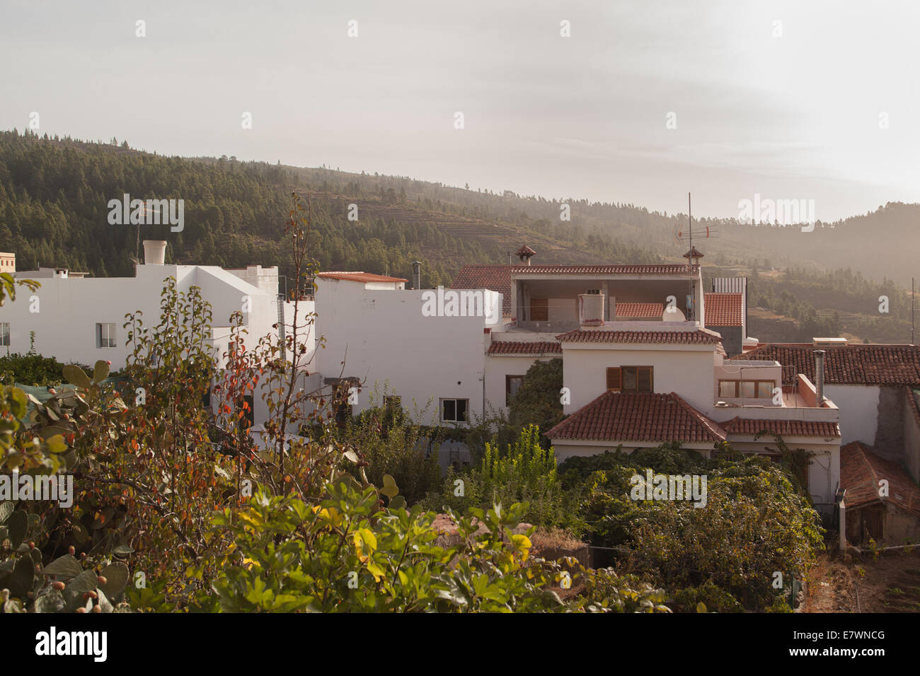 La Gomera Villen Stockfoto