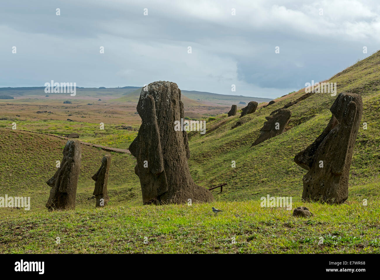 Gruppe von Moai Statuen, Rano Raraku, Osterinsel, Chile Stockfoto