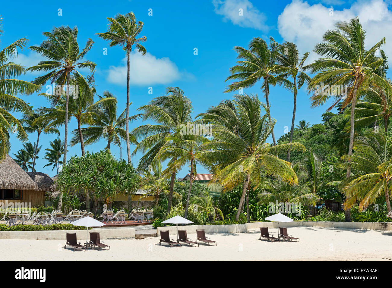 Strand mit Palmen Bäume, Bora Bora, Französisch-Polynesien Stockfoto