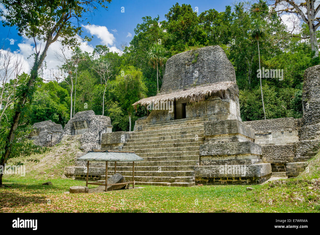 Tikal Ruinen Maya in guatemala Stockfoto